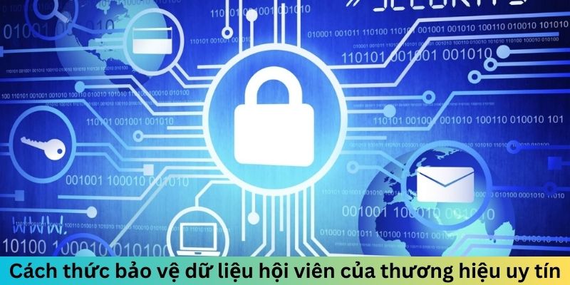 Cách thức bảo vệ dữ liệu hội viên của thương hiệu uy tín