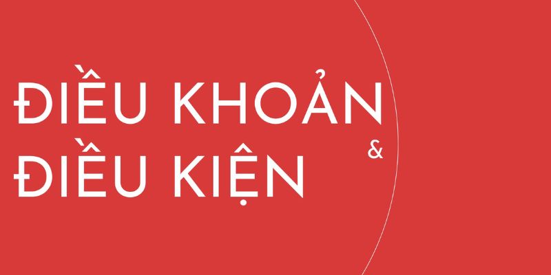 Đôi nét thông tin giới thiệu về điều khoản điều kiện tại XO88