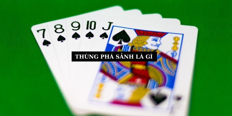 thung-pha-sanh-la-gi